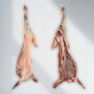 You are currently viewing عروض الذبائح الطازجة مع التوصيل