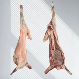 الأكثر طلباً